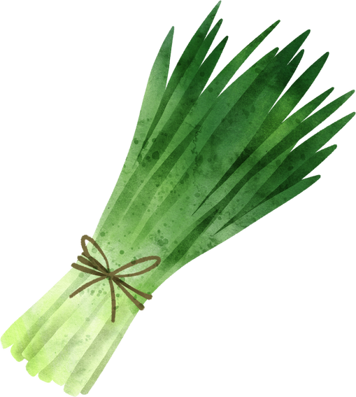 Hand Drawn Chives
