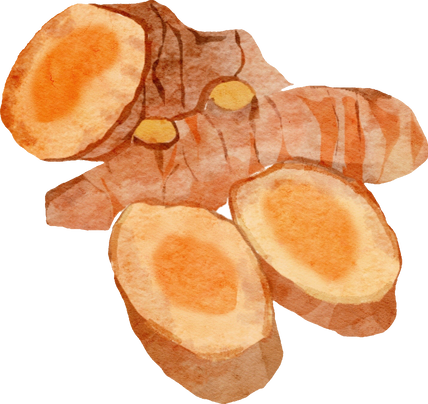 Watercolor turmeric