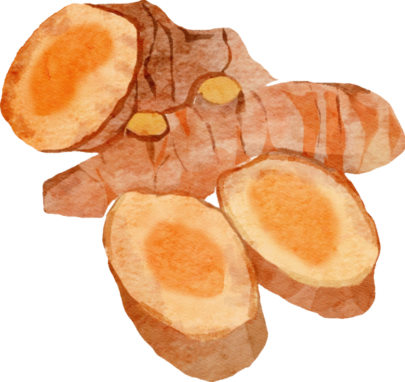 Watercolor turmeric