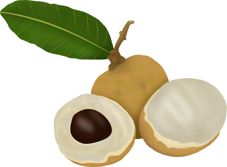 Longan Fruits