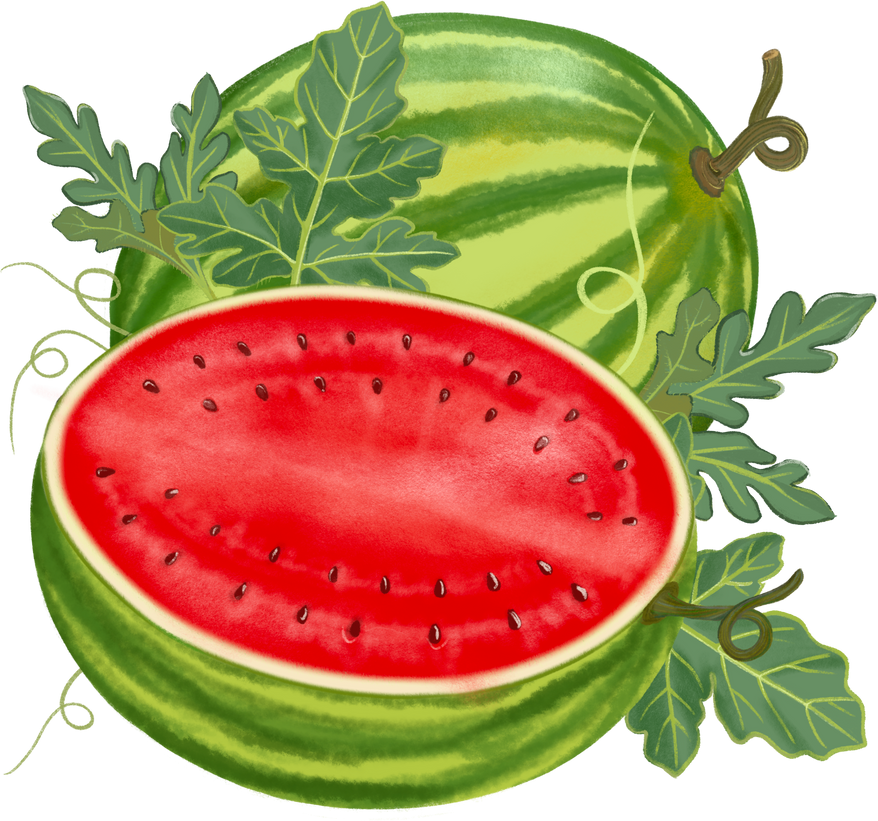 Watermelon