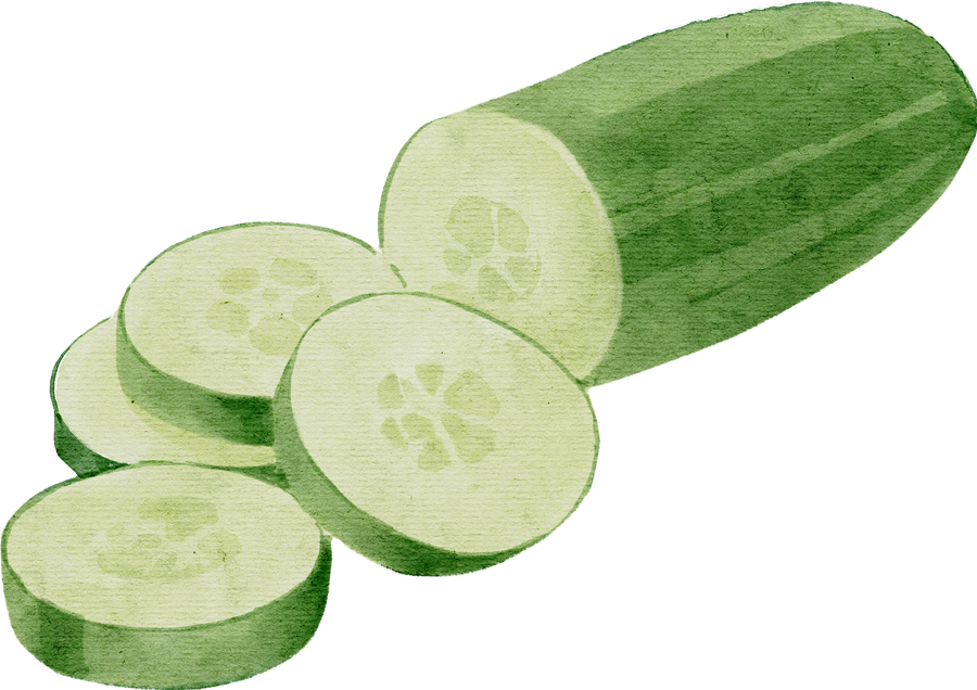 Cucumber illustration