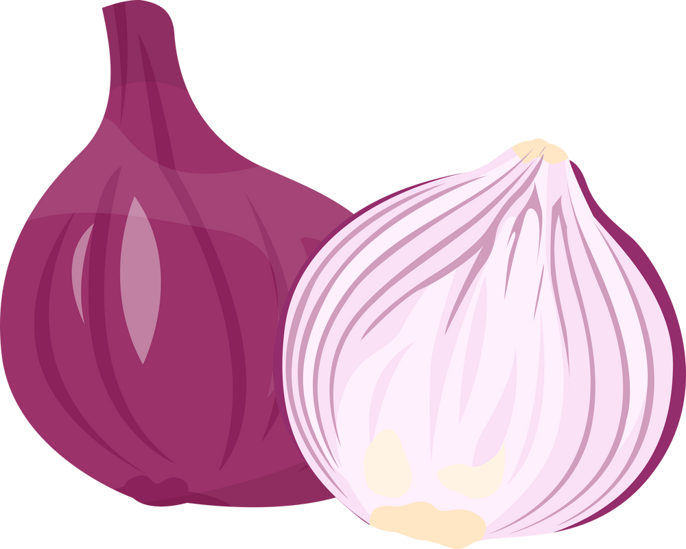 whole purple onion or shallot and its half