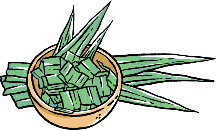 pandan