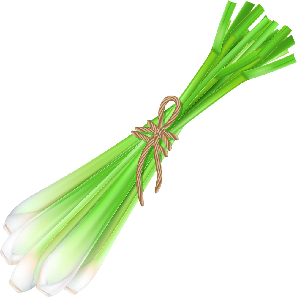 Lemongrass or Cymbopogon