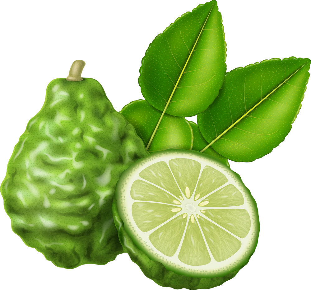 Kaffir lime or makrut lime