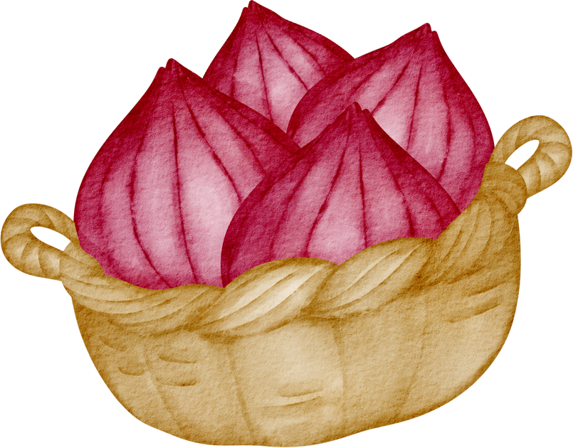 watercolor shallot