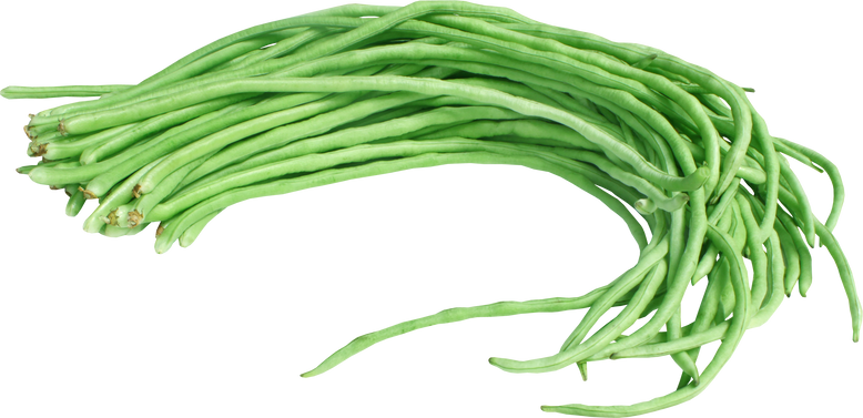 Yard Long Bean