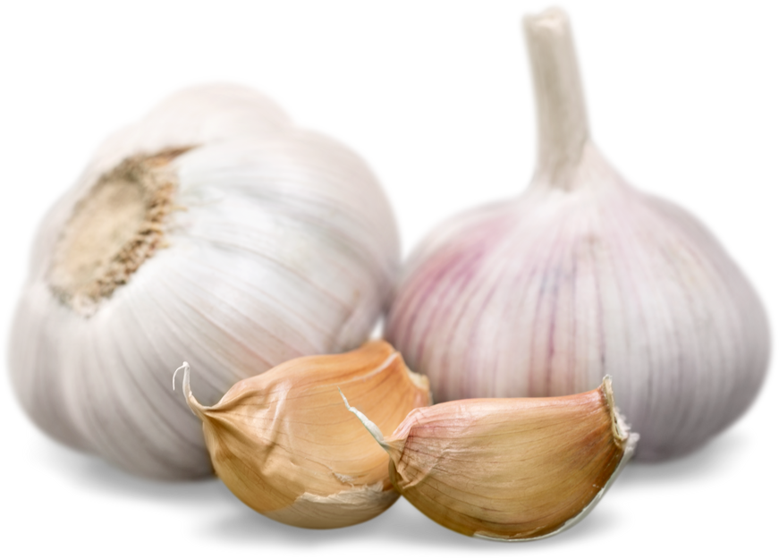 Cloves of Garlic 