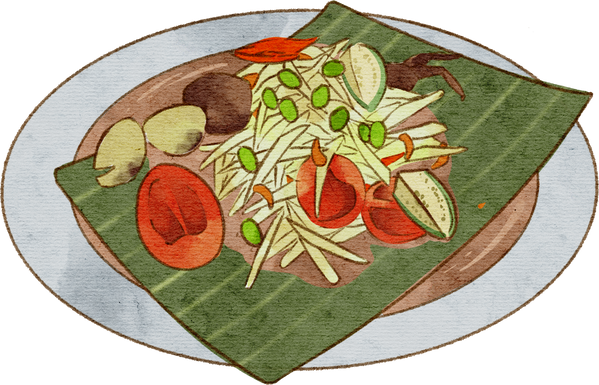 Green papaya salad hand drawn watercolor