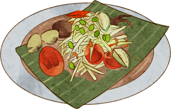 Green papaya salad hand drawn watercolor